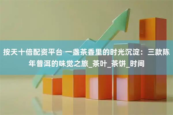 按天十倍配资平台 一盏茶香里的时光沉淀：三款陈年普洱的味觉之旅_茶叶_茶饼_时间
